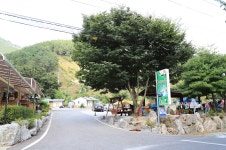 동강아름캠프 - 주변 여행 및 근처 관광 명소 - 국내 여행 정보와 관광 명소 정보
