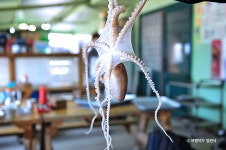 백미리갯벌체험장 - 주변 여행 및 근처 관광 명소 - 국내 여행 정보와 관광 명소 정보