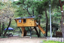 인제관광농원 - 주변 여행 및 근처 관광 명소 - 국내 여행 정보와 관광 명소 정보