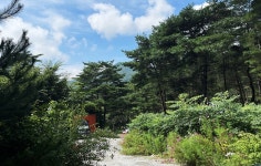 별빛캠핑장 - 주변 여행 및 근처 관광 명소 - 국내 여행 정보와 관광 명소 정보