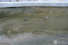 안골계곡 관광 정보와 주변 관광 명소 및 근처 맛집 여행 정보