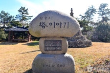 관광 - 국내 여행 정보와 관광 명소 정보