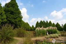 청산수목원 관광 정보와 주변 관광 명소 및 근처 맛집 여행 정보