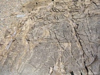 남해 가인리 화석산지 관광 정보와 주변 관광 명소 및 근처 맛집 여행 정보