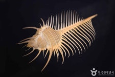 은암자연과학박물관 문화 정보와 주변 관광 명소 및 근처 맛집 여행 정보