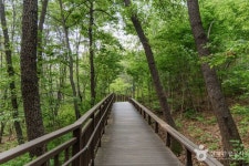 서리풀공원 관광 정보와 주변 관광 명소 및 근처 맛집 여행 정보