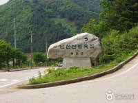낭천산림욕장 | NOL 인터파크투어 프리야 여행정보 [대한민국>강원도 화천군] 여기 가고싶어요! [낭천산림욕장] 화천 시가지를 조망할 수 있는... 