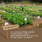 [여행 카드] 주말엔 농장으로 가요 - 최신기사 | 구석구석 떠나볼까 | 대한민국구석구석