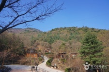 Jwagusan Recreational Forest (좌구산 자연휴양림) - Sightseeing - Korea travel and tourism information