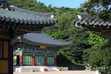 서산 꽃송아리마을 - 주변 여행 및 근처 관광 명소 - 국내 여행 정보와 관광 명소 정보