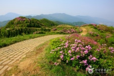 Baraebong Peak (바래봉) - Sightseeing - Korea travel and tourism information