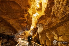 Cheongok Golden Bat Cave (천곡황금박쥐동굴) - Sightseeing - Korea travel and tourism information