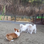 이마트 동백 - 주변 여행 및 근처 관광 명소 - 국내 여행 정보와 관광 명소 정보