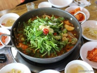 벌말매운탕 음식점 정보와 주변 관광 명소 및 근처 맛집 여행 정보