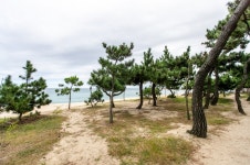 송정해변 관광 정보와 주변 관광 명소 및 근처 맛집 여행 정보