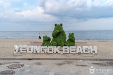 연곡해변(연곡해수욕장) - 주변 여행 및 근처 관광 명소 - 국내 여행 정보와 관광 명소 정보