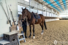 분당승마클럽 레저스포츠 정보와 주변 관광 명소 및 근처 맛집 여행 정보