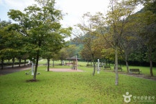 화랑체육공원 관광 정보와 주변 관광 명소 및 근처 맛집 여행 정보