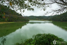 고남 저수지 관광 정보와 주변 관광 명소 및 근처 맛집 여행 정보
