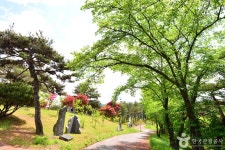 장성호 문화예술공원 관광 정보와 주변 관광 명소 및 근처 맛집 여행 정보