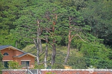 샘재골송이마을 관광 정보와 주변 관광 명소 및 근처 맛집 여행 정보