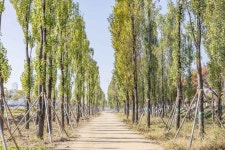 Ichon Hangang Park (이촌한강공원) - Sightseeing - Korea travel and tourism information