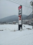 맹방 벚꽃길 관광 정보와 주변 관광 명소 및 근처 맛집 여행 정보