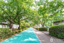 충장근린체육공원 관광 정보와 주변 관광 명소 및 근처 맛집 여행 정보