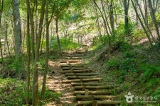 석포숲공원 관광 정보와 주변 관광 명소 및 근처 맛집 여행 정보