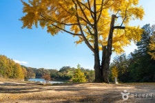 예안향교 관광 정보와 주변 관광 명소 및 근처 맛집 여행 정보