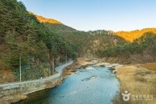 금강소나무생태경영림 - 주변 여행 및 근처 관광 명소 - 국내 여행 정보와 관광 명소 정보