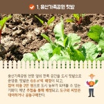 [여행 카드] 주말엔 농장으로 가요 - 최신기사 | 구석구석 떠나볼까 | 대한민국구석구석