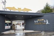 Cheongok Golden Bat Cave (천곡황금박쥐동굴) - Sightseeing - Korea travel and tourism information