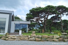늘,파인 음식점 정보와 주변 관광 명소 및 근처 맛집 여행 정보