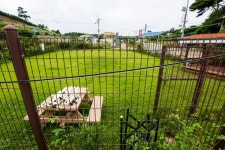 더퍼피즈블루오션 숙박 정보와 주변 관광 명소 및 근처 맛집 여행 정보