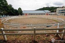 복용승마장 레저스포츠 정보와 주변 관광 명소 및 근처 맛집 여행 정보