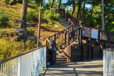 이사부사자공원&그림책 나라 관광 정보와 주변 관광 명소 및 근처 맛집 여행 정보