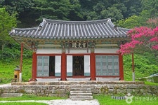 남원 진기리 느티나무 - 주변 여행 및 근처 관광 명소 - 국내 여행 정보와 관광 명소 정보