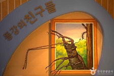 영월동강생태공원 관광 정보와 주변 관광 명소 및 근처 맛집 여행 정보