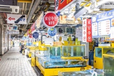 Sorae Fish Market (소래포구 종합어시장) - Shopping - Korea travel and tourism information