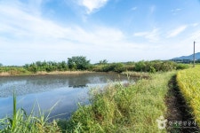 신송지 레저스포츠 정보와 주변 관광 명소 및 근처 맛집 여행 정보