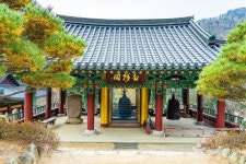 평창문화관광 > 음식 / 숙박 / 쇼핑 > 살래요 평창문화관광  &gt; 음식 / 숙박 / 쇼핑 &gt; 살래요