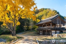 예안향교 관광 정보와 주변 관광 명소 및 근처 맛집 여행 정보