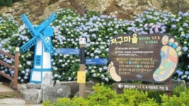 저구마을 관광 정보와 주변 관광 명소 및 근처 맛집 여행 정보