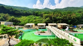 드위트리 풀빌라펜션&카라반가든 레저스포츠 정보와 주변 관광 명소 및 근처 맛집 여행 정보