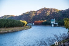 태화강 관광 정보와 주변 관광 명소 및 근처 맛집 여행 정보