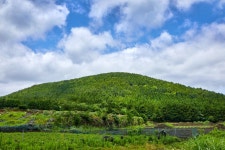 Bengdwigul Cave [UNESCO World Natural Heritage Site] (제주 선흘리 벵뒤굴 [유네스코 세계자연유산]) - Sightseeing - Korea... 