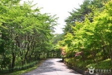 백아산자연휴양림 관광 정보와 주변 관광 명소 및 근처 맛집 여행 정보