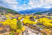 智異山万福台（지리산 만복대） - 観光 - 韓国旅行・観光情報