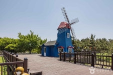 여름 바다 100% 즐기기 - 주변 여행 및 근처 관광 명소 - 국내 여행 정보와 관광 명소 정보